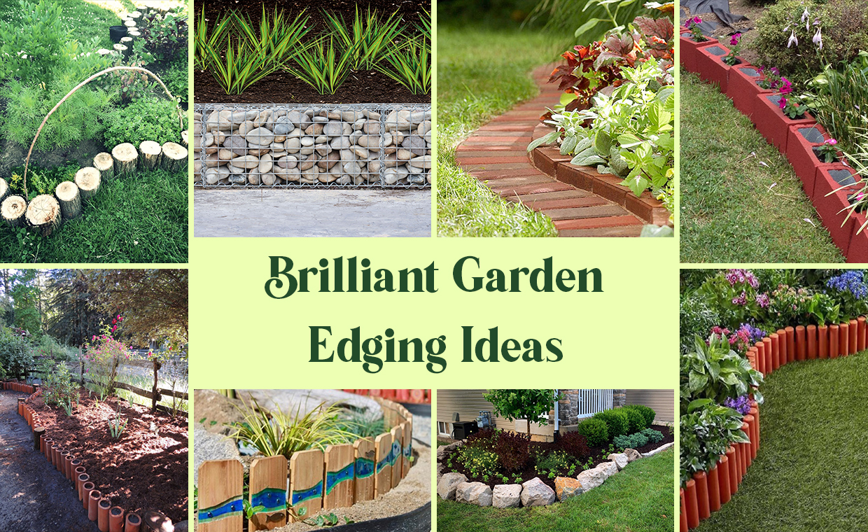 Brilliant Garden Edging Ideas
