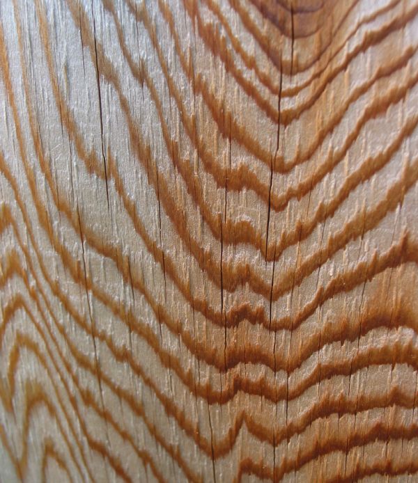 Cedar wood