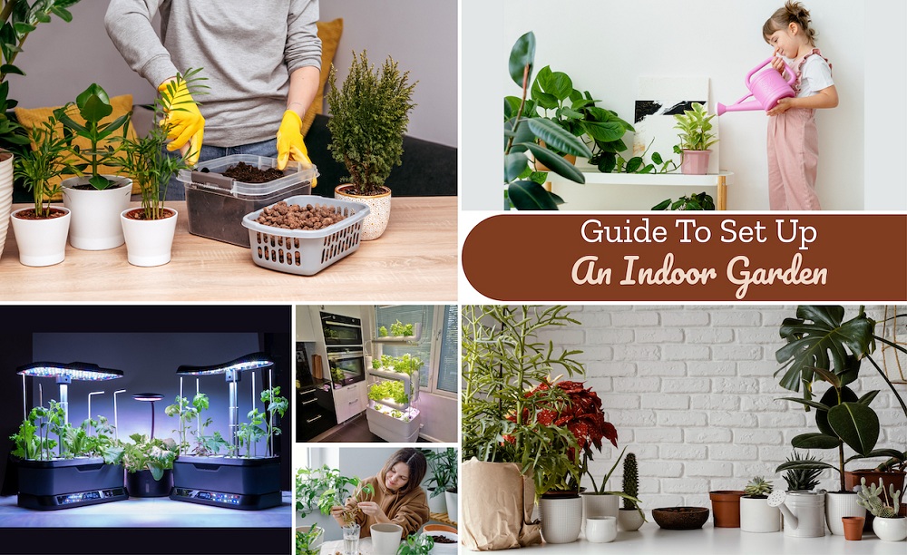 Guide To Set Up An Indoor Garden
