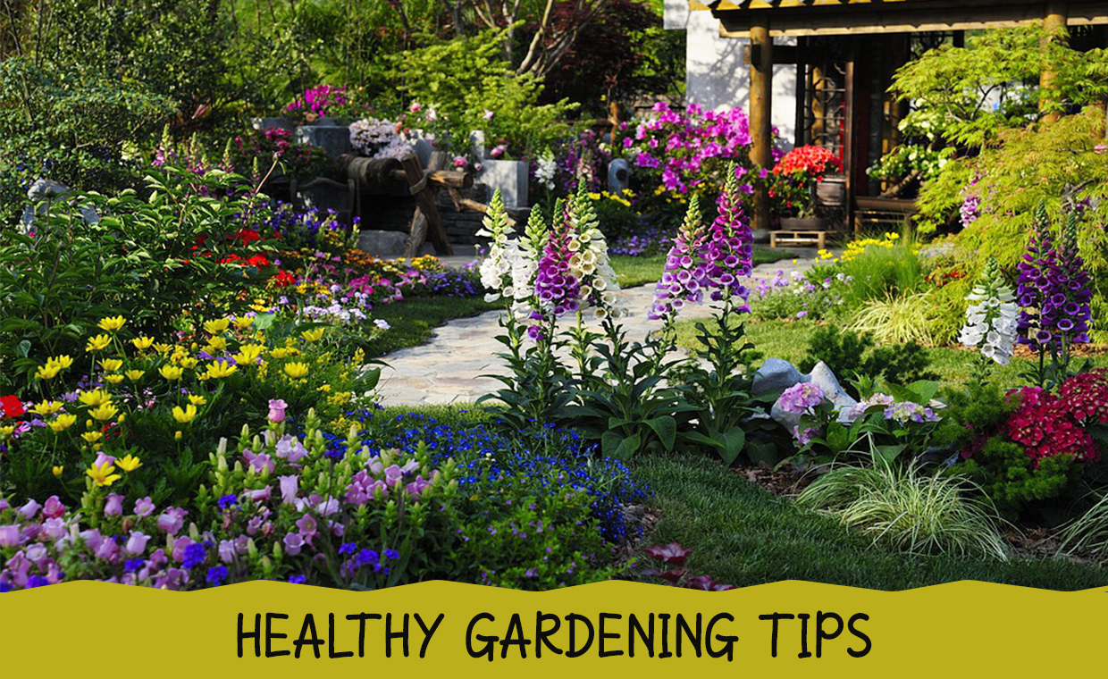 Healthy Gardening Tips
