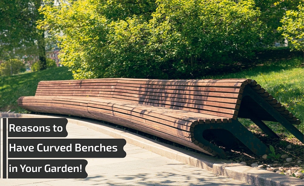 Reasons to have Curved Benches in your Garden